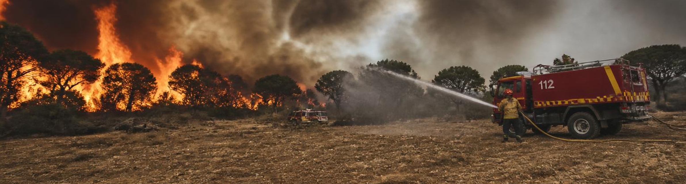 Western Europe records hottest June-July period ever as heatwaves, wildfires plague region